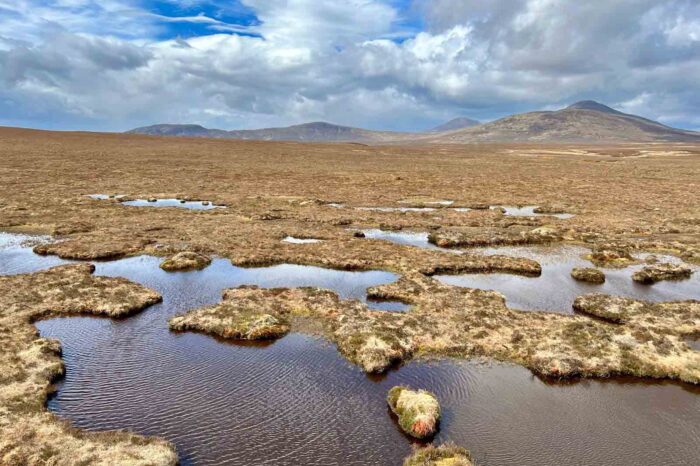 New report shows peatland restoration could bring Millions to North Highlands and affirms a community-focused approach to investment